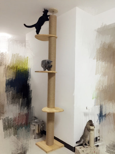 12cm extra thick Full Length Floor to Ceiling Wooden Cat Climbing Tree DDhouse Singapore Online Pet Supplies and Pet Products